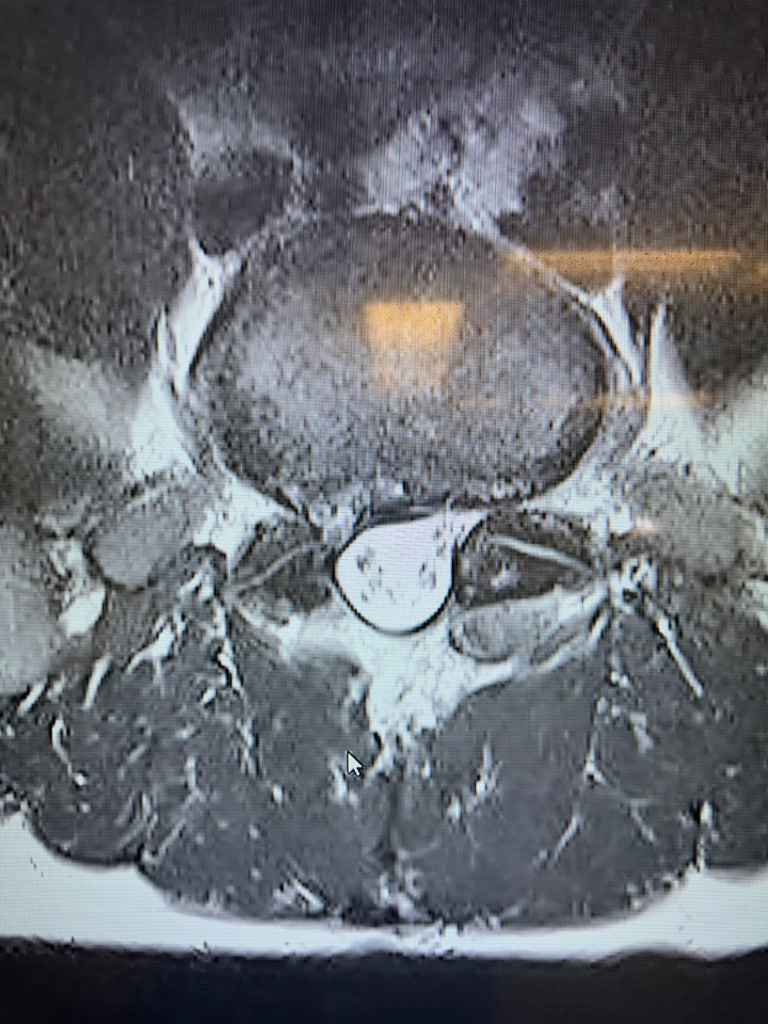 IMG_20251129_112547 (1)